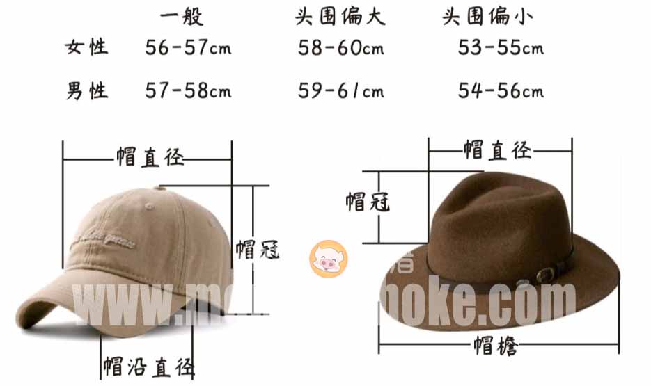 省基层精神科临床诊疗能力提升项目第三季度培训班在梅举办